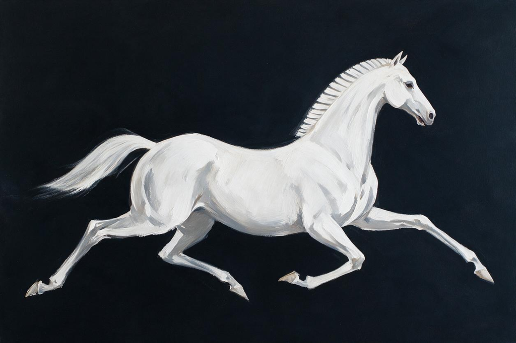 SOLORART Americana Art | White Horse Against Black