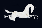 SOLORART Americana Art | White Horse as a Silhouette