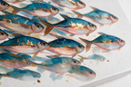 SOLORART Abstract Art | Gilded Shoal in Motion